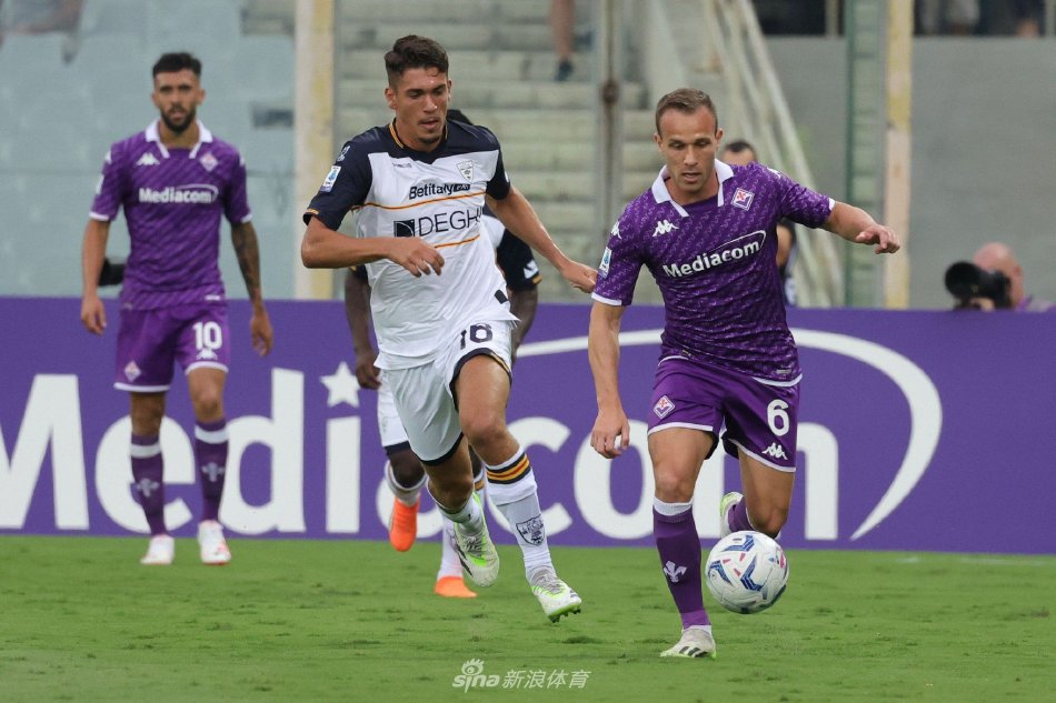 浙江队若想 浙江队若想